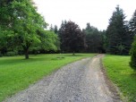 HILLTOP LODGE PINE TREE LINED DRIVEWAY