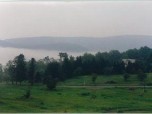 Summer morning fog